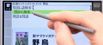 yachou2