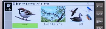 yachou3